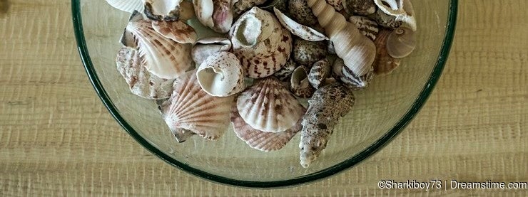 A bowl of sea shells