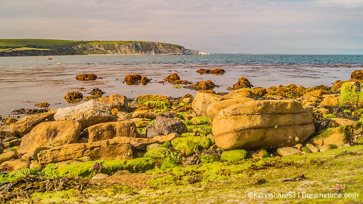 Bright moss covered rocks ata view across Swanage shore