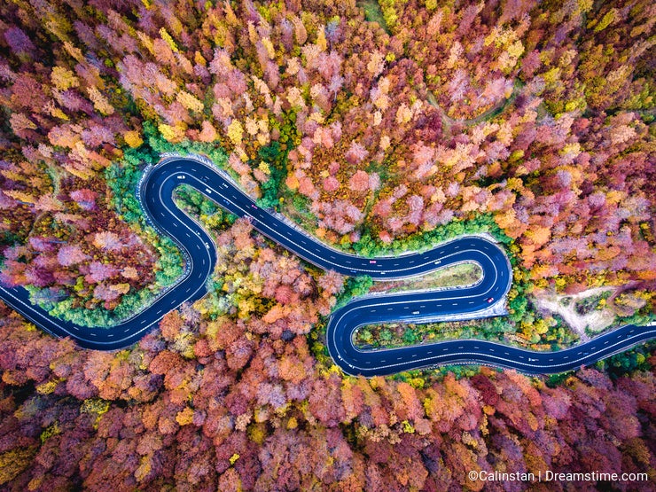 Aerial drone view of a curved winding road through the forest hi