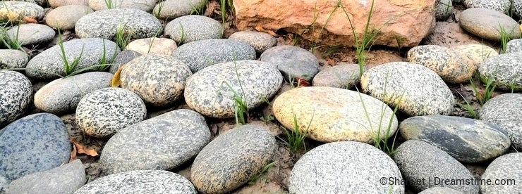 A large and small stones in park