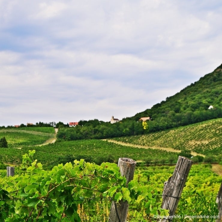 Rural landscape in Hungary near Balaton