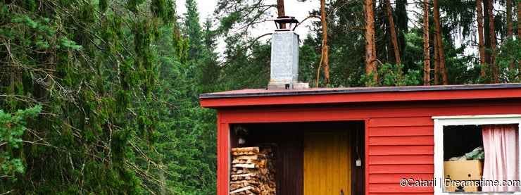 Finnish sauna with wood
