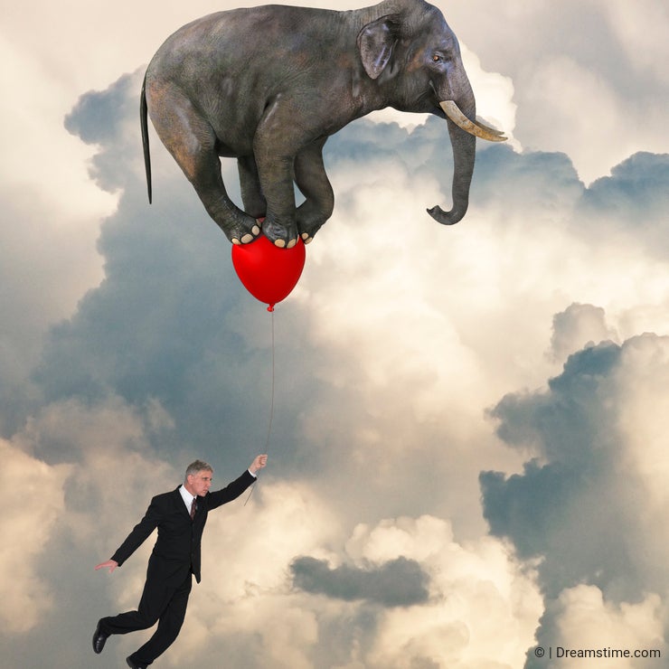 Flying Elephant, Sales, Goals, Marketing