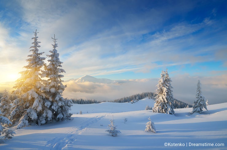 Christmas landscape