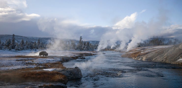 Unveiling the Wonders of Yellowstone: A Photographer's Paradise 