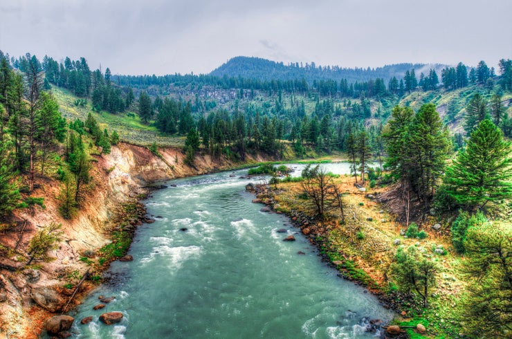 Unveiling the Wonders of Yellowstone: A Photographer's Paradise 