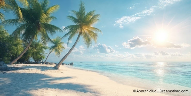 A tropical beach with palm trees and the sun shining on water