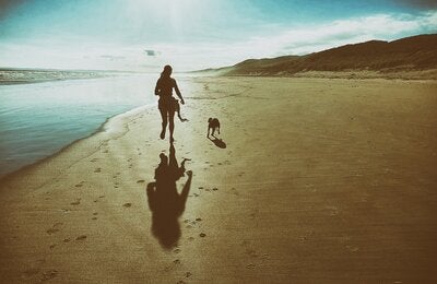 Pet Photos: Treasure the precious moments