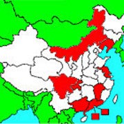 Iamqianwei avatar