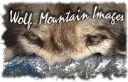 Wolfmountain avatar