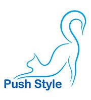 Pushstyle avatar