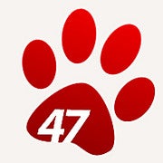 Silent47 avatar