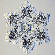 Desertofsnowflake avatar