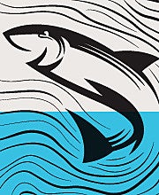 Blacksalmon