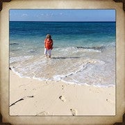 Dianemacdonald854