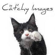 Catchyimages avatar