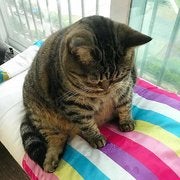 Chaiyaphon