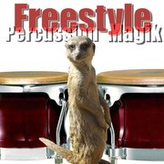 FreestylePercussionMagik