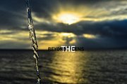 Beyondthelensofficial
