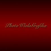 Photowiola