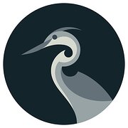 Raven17