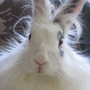 Keyemura