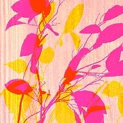 NATUREGIFTS