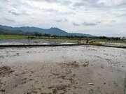 Gembuxparangjoro