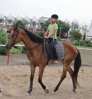 krishnaphoto