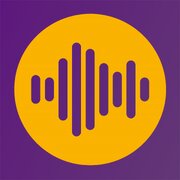 Purplebeemusic