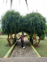 Lailatulungzila25