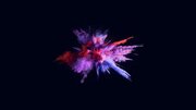 Lightcameraactionschool