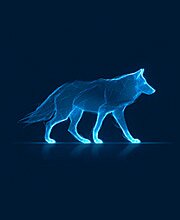 Forestgraphic