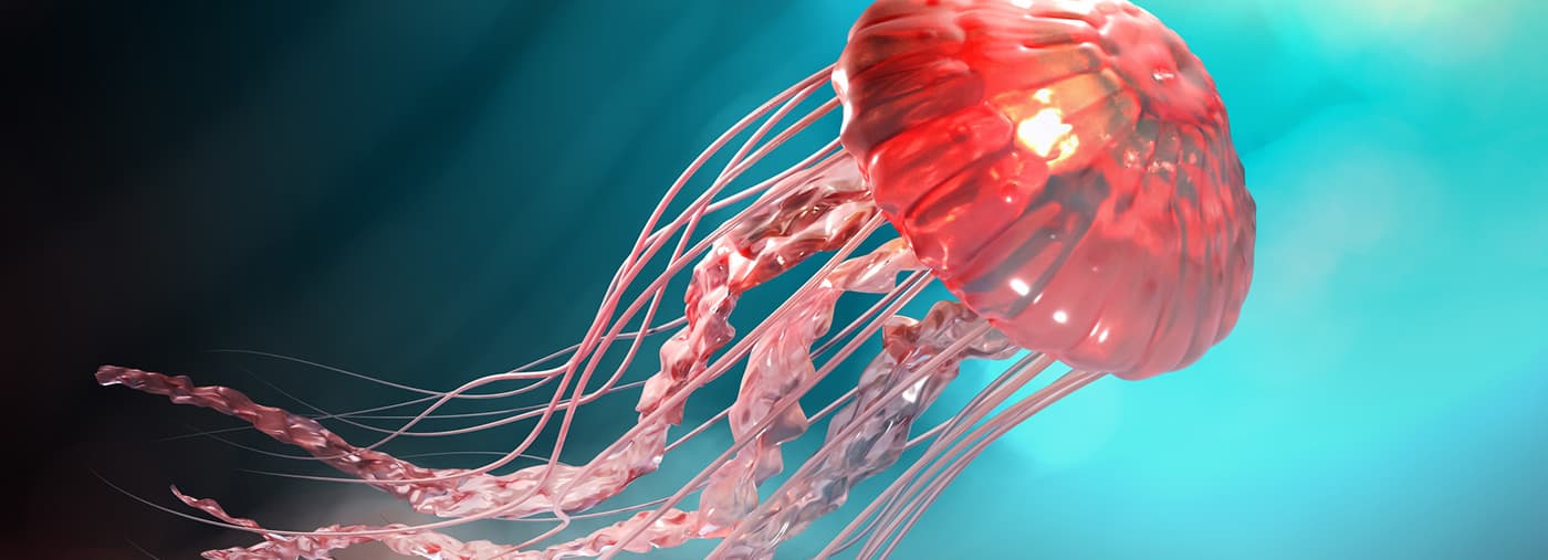 d rendering of pink jellyfish floating in the dark blue ocean b background with sunlight