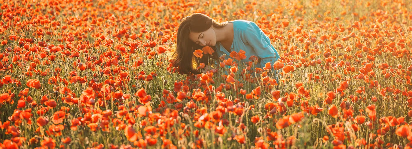 attractive brunette young woman relaxing in flower field and sniffing a poppy in summer attractive woman sniffing a poppy in field