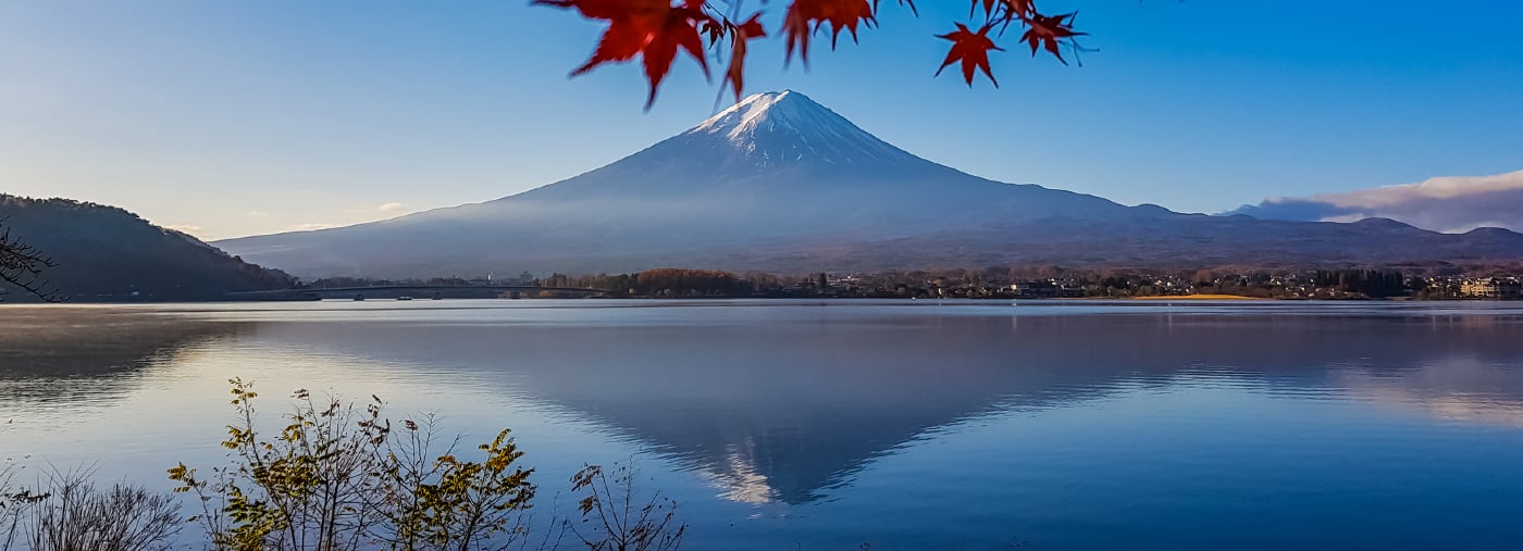 осень в mtfuji вид от озера kawaguchiko с передние планом осенние листья