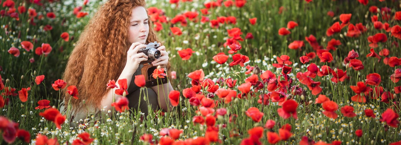 jovem linda menina vermelha tira fotos no campo das flores vermelhas da papoila de pôr do sol