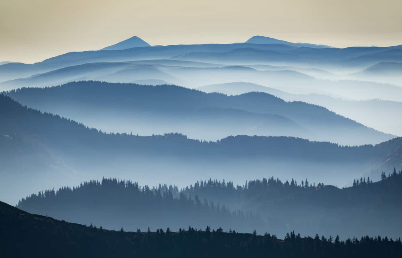 www.dreamstime.com