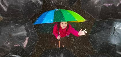 Image for category Collections