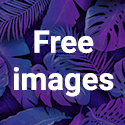 Royalty Free Stock Images