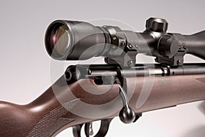 001 17 hmr rifle with scope