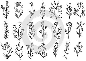 0046 hand drawn flowers doodle