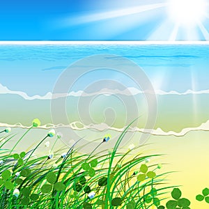 01 paradise Sea grass