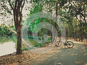 03 - Bicycle cycling on a swampy road in a park