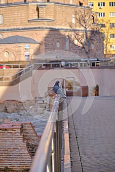 06.01.2021. Sofia. Bulgaria. Banya Bashi Mosque and blue sky background taken by photo from side of ancient ruins of Sofia.