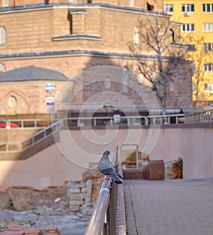 06.01.2021. Sofia. Bulgaria. Banya Bashi Mosque and blue sky background taken by photo from side of ancient ruins of Sofia.