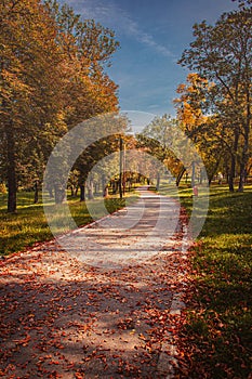 09.10.2022. Kragujevac, Serbia. Central city Park in the City during autumn season. Blue and orange tones.