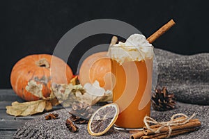 1 Cup pumpkin juice with whipped cream and cinnamon, fresh whole pumpkins, a slice of dried orange, cones, dry fallen leaves