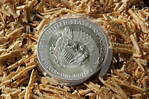 1 dollar United States investment silver coin. Pure silver coin.