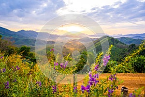 1 January 2018-Phang nga::Sunrise at Phu Ta Tun Viewpoint Phang nga province